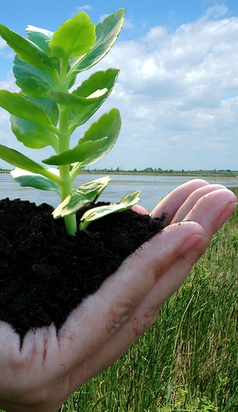 Sustainable Development